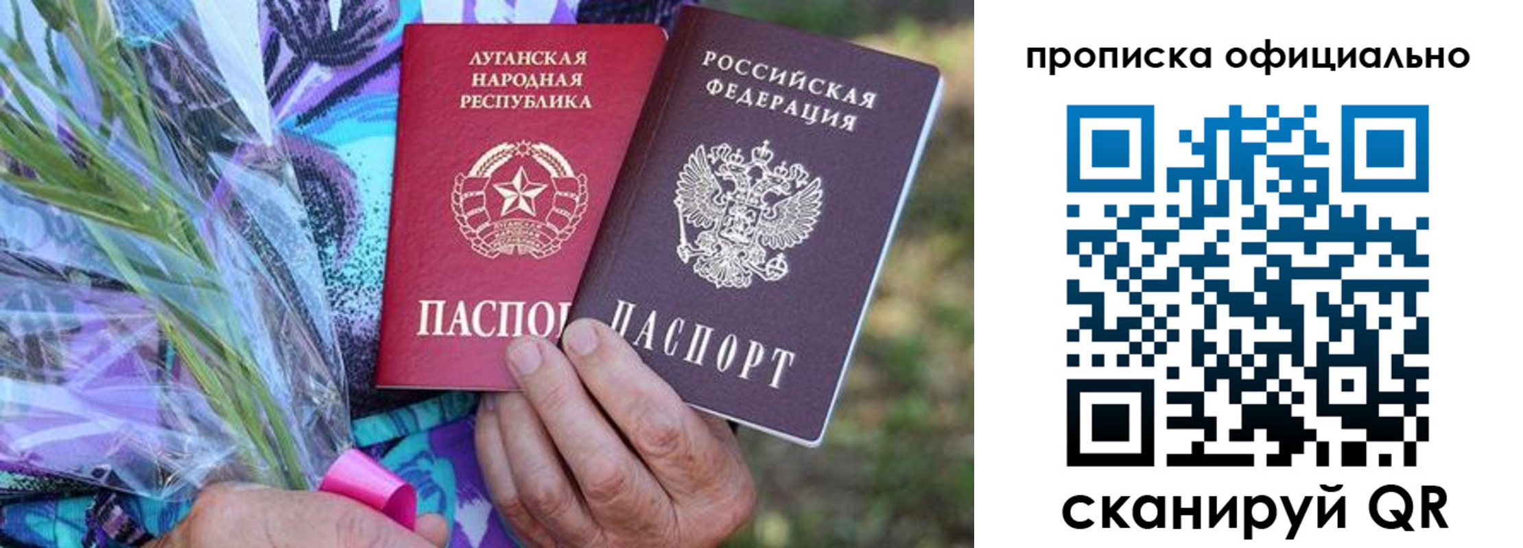 прописка поиск в Домодедово